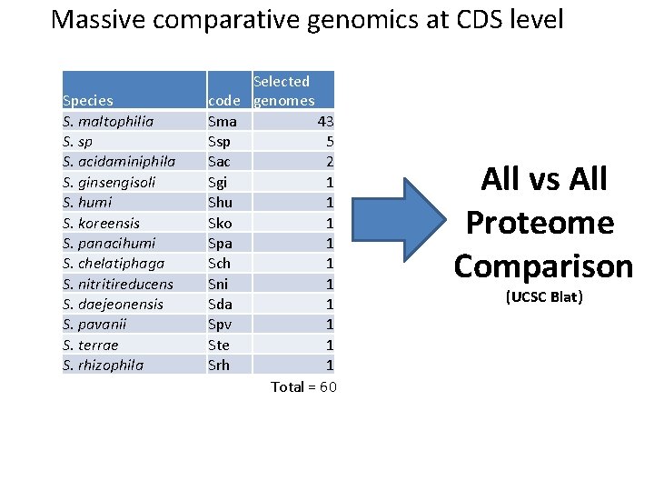 Massive comparative genomics at CDS level Species S. maltophilia S. sp S. acidaminiphila S.