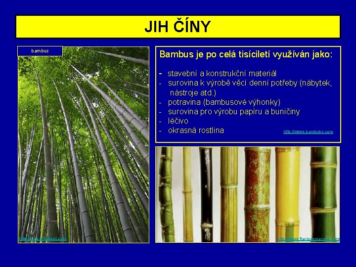 JIH ČÍNY bambus Bambus je po celá tisíciletí využíván jako: - stavební a konstrukční