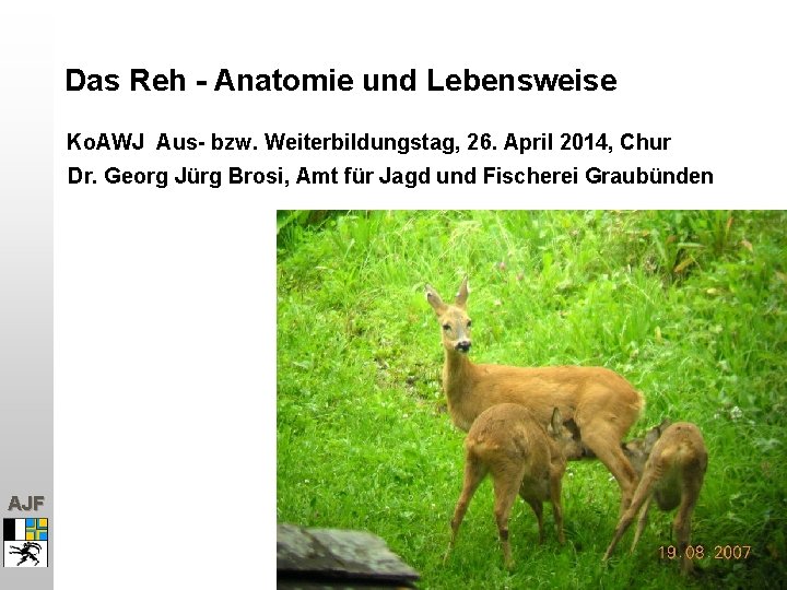 Das Reh - Anatomie und Lebensweise Ko. AWJ Aus- bzw. Weiterbildungstag, 26. April 2014,