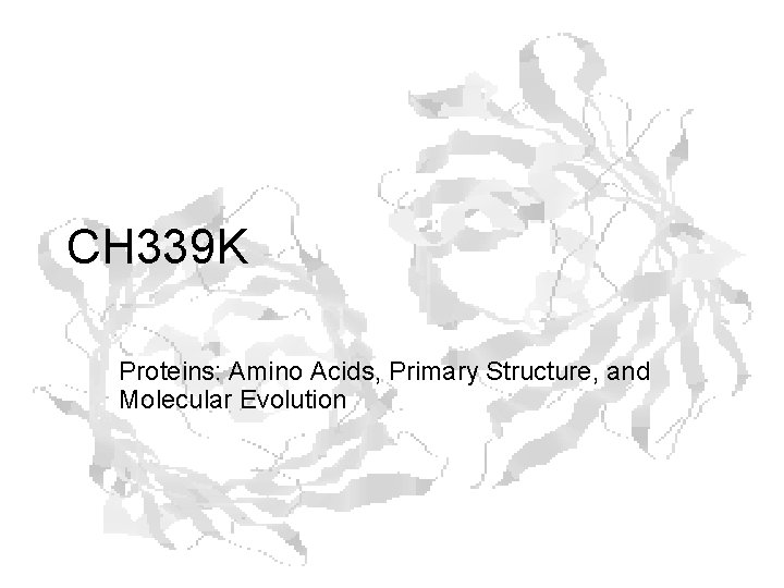 CH 339 K Proteins: Amino Acids, Primary Structure, and Molecular Evolution CH 339 K Proteins: Amino Acids, Primary Structure, and Molecular Evolution