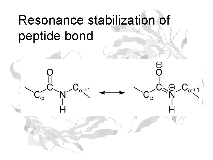 Resonance stabilization of peptide bond 