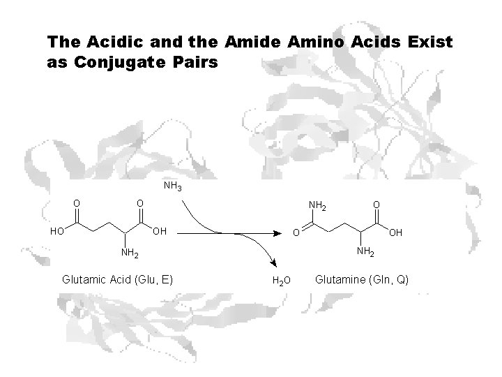 The Acidic and the Amide Amino Acids Exist as Conjugate Pairs 