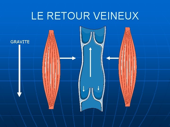 LE RETOUR VEINEUX GRAVITE 