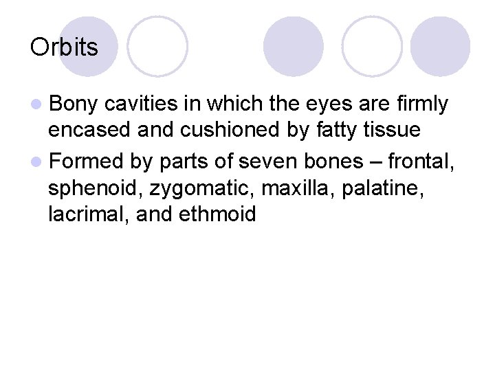 Orbits l Bony cavities in which the eyes are firmly encased and cushioned by