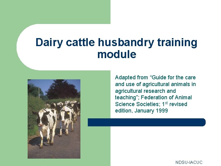 Dairy cattle husbandry training module Adapted from “Guide for the care and use of