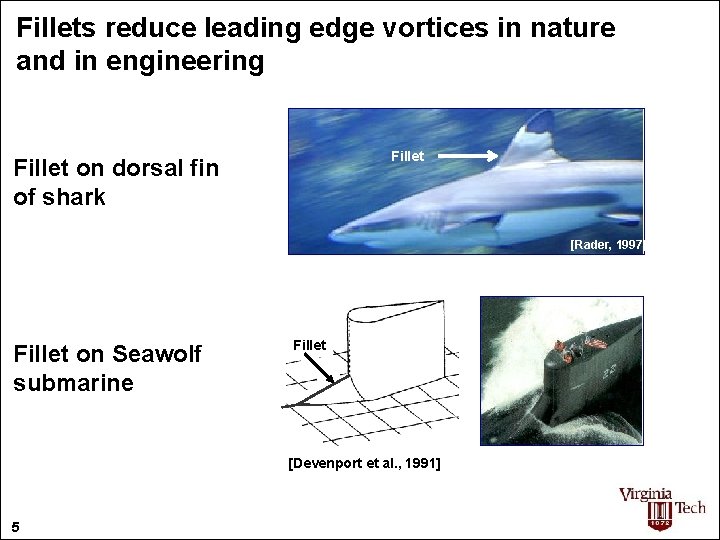 Fillets reduce leading edge vortices in nature and in engineering Fillet on dorsal fin