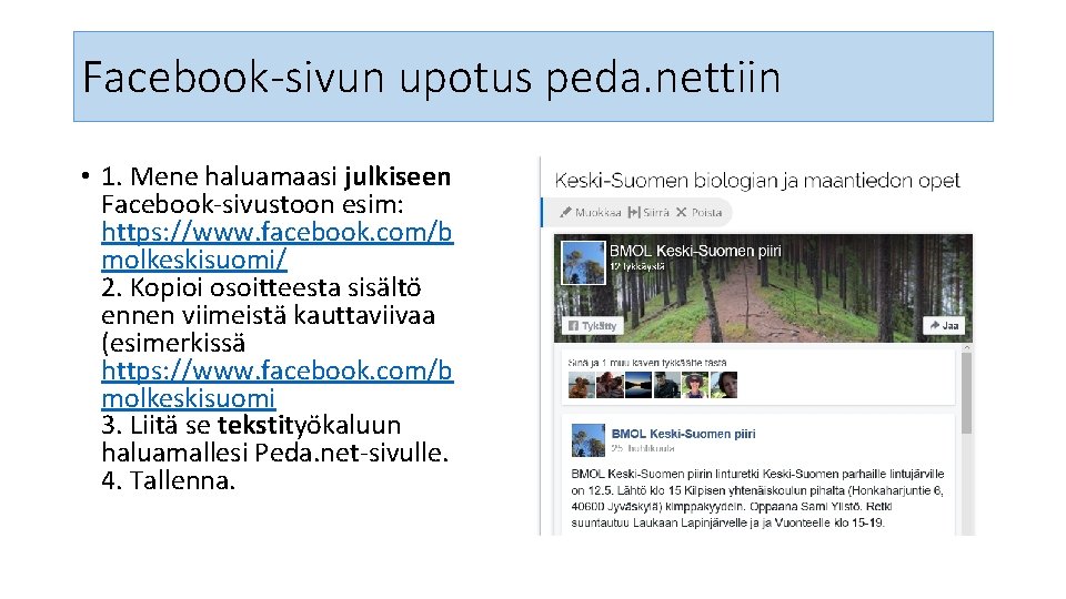 Facebook-sivun upotus peda. nettiin • 1. Mene haluamaasi julkiseen Facebook-sivustoon esim: https: //www. facebook.