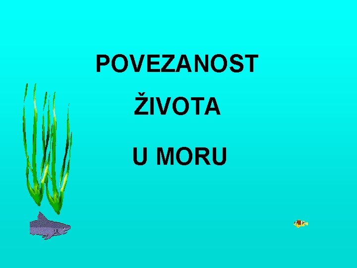 POVEZANOST ŽIVOTA U MORU 