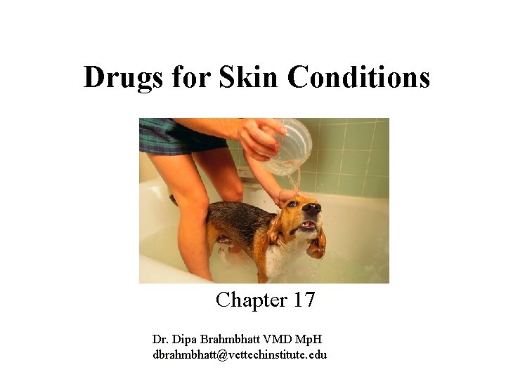 Drugs for Skin Conditions Chapter 17 Dr. Dipa Brahmbhatt VMD Mp. H dbrahmbhatt@vettechinstitute. edu