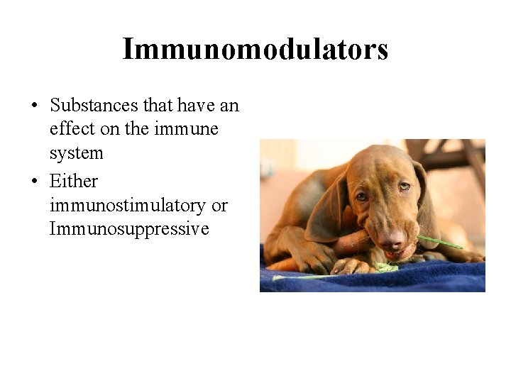 Immunomodulators • Substances that have an effect on the immune system • Either immunostimulatory