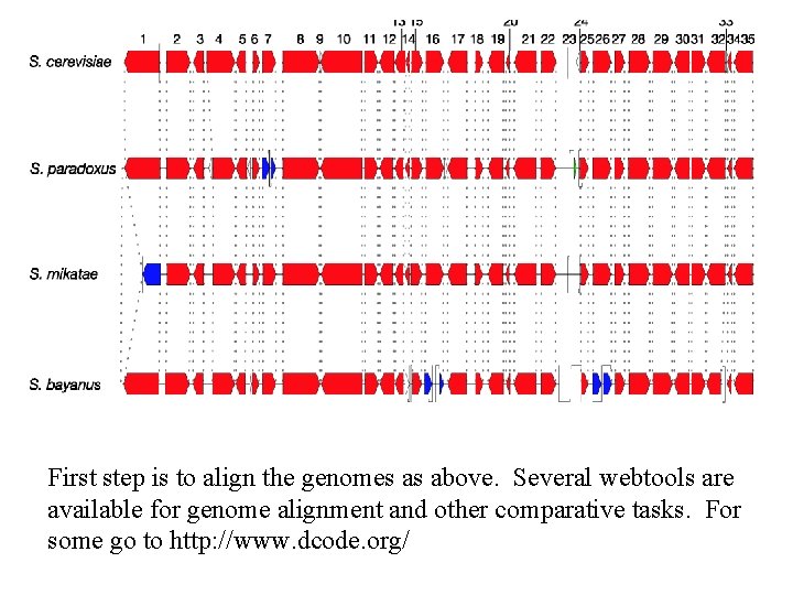 First step is to align the genomes as above. Several webtools are available for