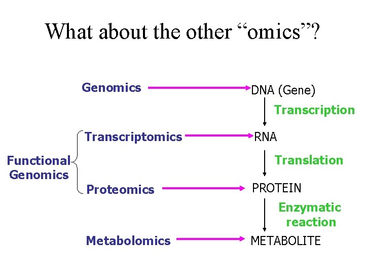 What about the other “omics”? Genomics DNA (Gene) Transcription Transcriptomics RNA Translation Functional Genomics