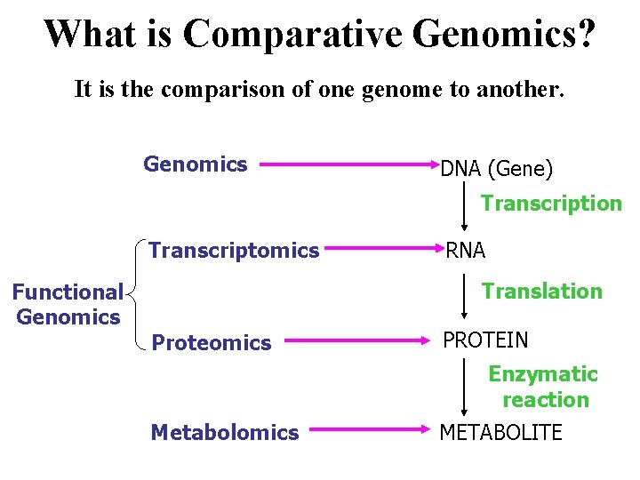 What is Comparative Genomics? It is the comparison of one genome to another. Genomics