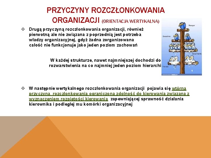 PRZYCZYNY ROZCZŁONKOWANIA ORGANIZACJI (ORIENTACJA WERTYKALNA) v Drugą przyczyną rozczłonkowania organizacji, również pierwotną ale nie