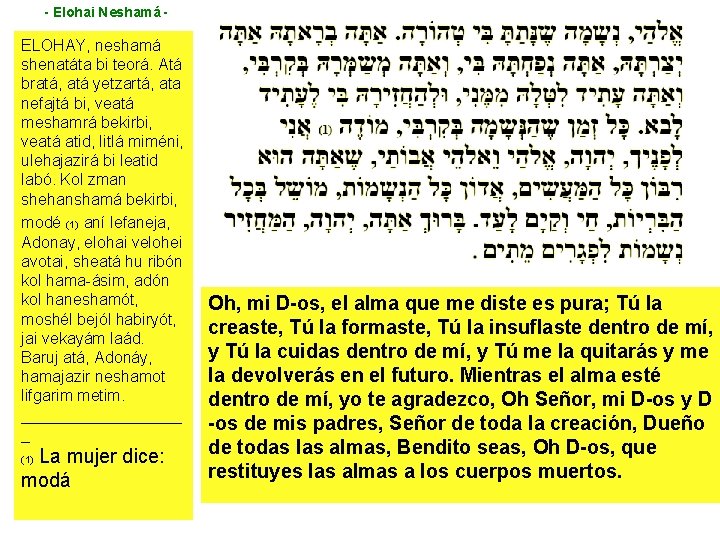 - Elohai Neshamá - ELOHAY, neshamá shenatáta bi teorá. Atá bratá, atá yetzartá, ata