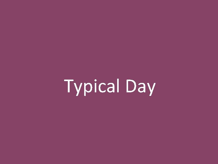 Typical Day 