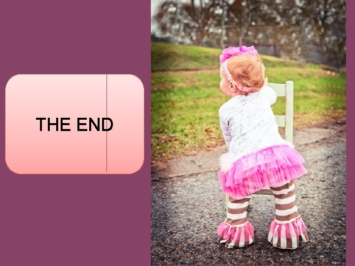 THE END 