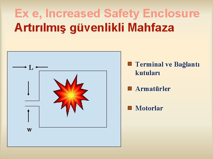 Ex e, Increased Safety Enclosure Artırılmış güvenlikli Mahfaza L Terminal ve Bağlantı kutuları Armatürler