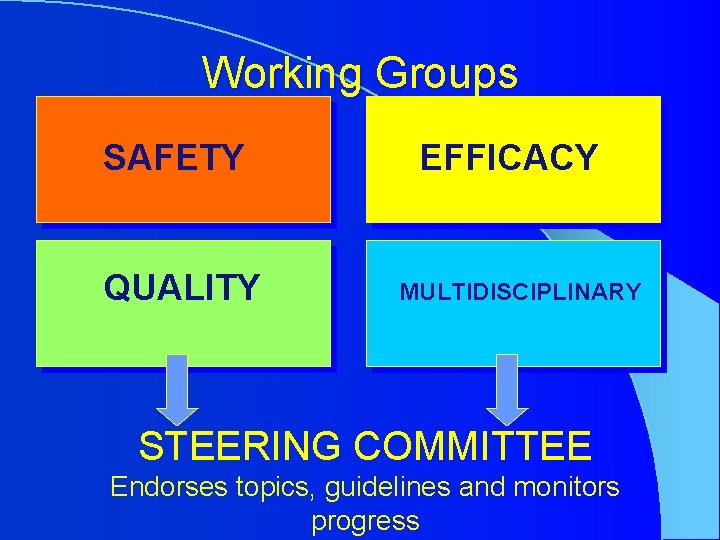 Working Groups SAFETY QUALITY EFFICACY MULTIDISCIPLINARY STEERING COMMITTEE Endorses topics, guidelines and monitors progress