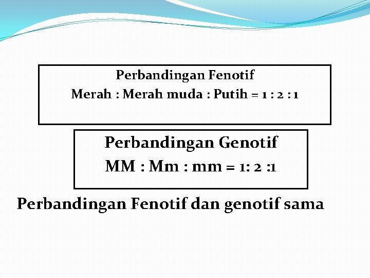 Perbandingan Fenotif Merah : Merah muda : Putih = 1 : 2 : 1