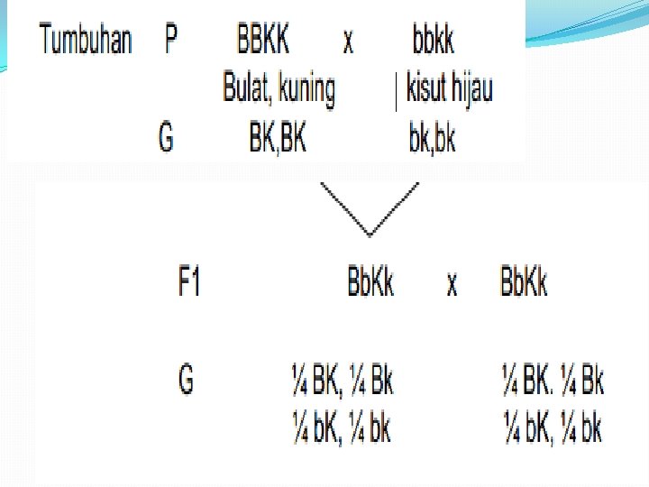 Dihibrid Dominasi Penuh 