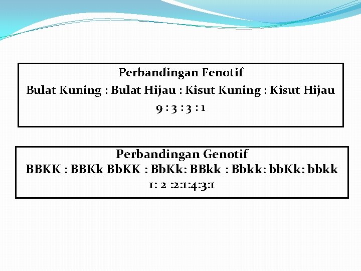 Perbandingan Fenotif Bulat Kuning : Bulat Hijau : Kisut Kuning : Kisut Hijau 9: