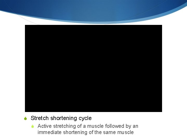 S Stretch shortening cycle S Active stretching of a muscle followed by an immediate