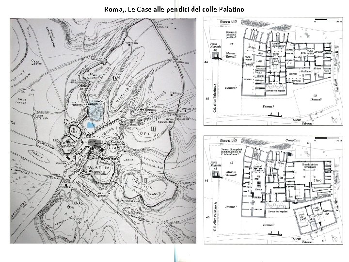 Roma, . Le Case alle pendici del colle Palatino 