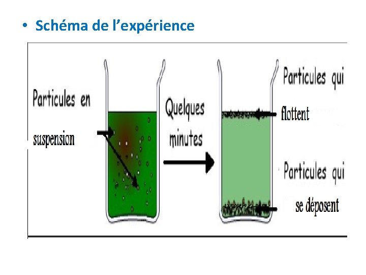 • Schéma de l’expérience • Schéma de l’expérience