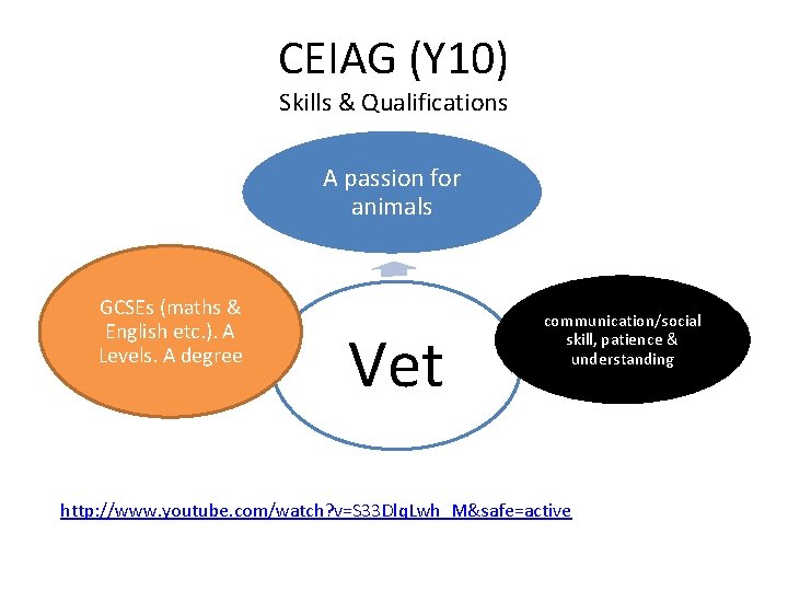 CEIAG (Y 10) Skills & Qualifications A passion for animals GCSEs (maths & English
