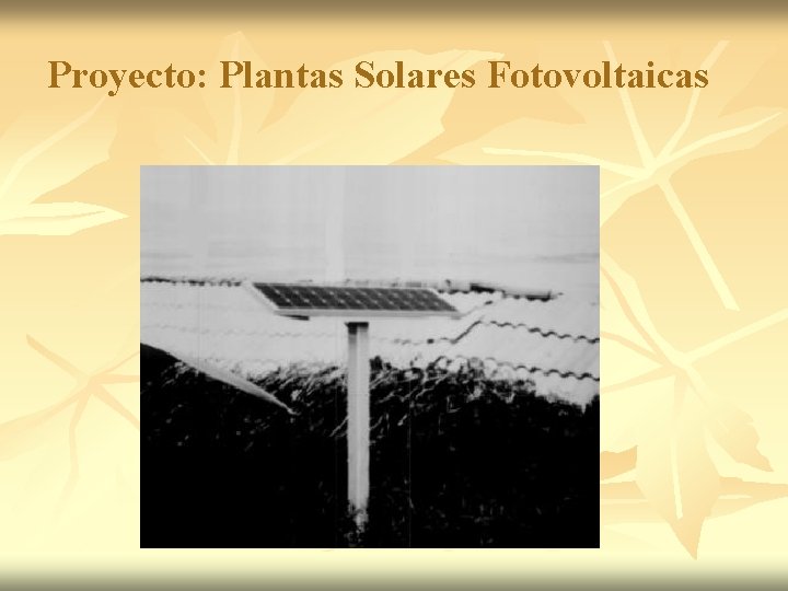 Proyecto: Plantas Solares Fotovoltaicas 