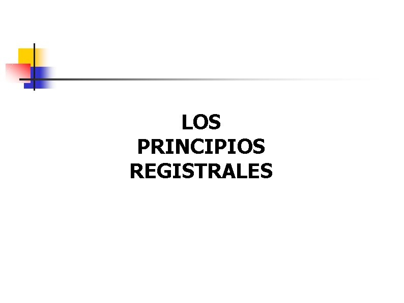 LOS PRINCIPIOS REGISTRALES 