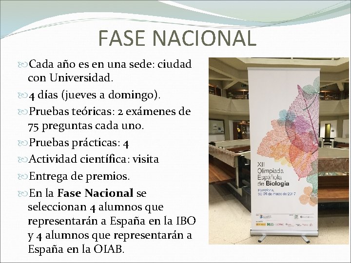 FASE NACIONAL Cada año es en una sede: ciudad con Universidad. 4 días (jueves