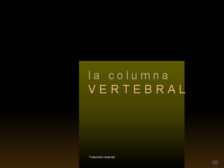 la columna VERTEBRAL Transición manual 