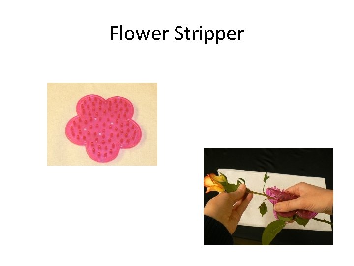 Flower Stripper 