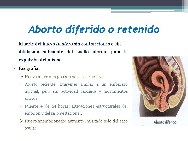 Aborto diferido o retenido Muerte del huevo in utero sin contracciones o sin dilatación