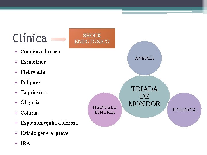 Clínica SHOCK ENDOTÓXICO • Comienzo brusco ANEMIA • Escalofríos • Fiebre alta • Polipnea