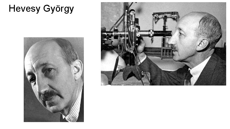 Hevesy György 