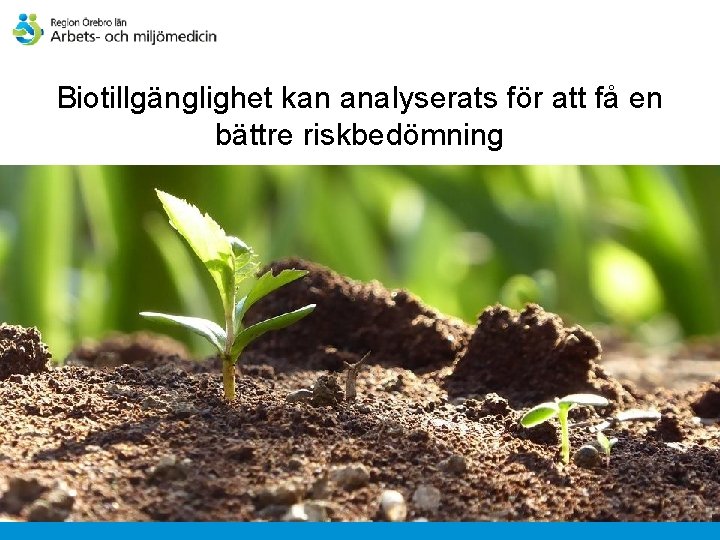 Biotillgänglighet kan analyserats för att få en bättre riskbedömning 