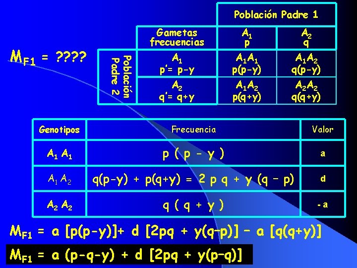 Población Padre 1 Población Padre 2 MF 1 = ? ? Gametas frecuencias A