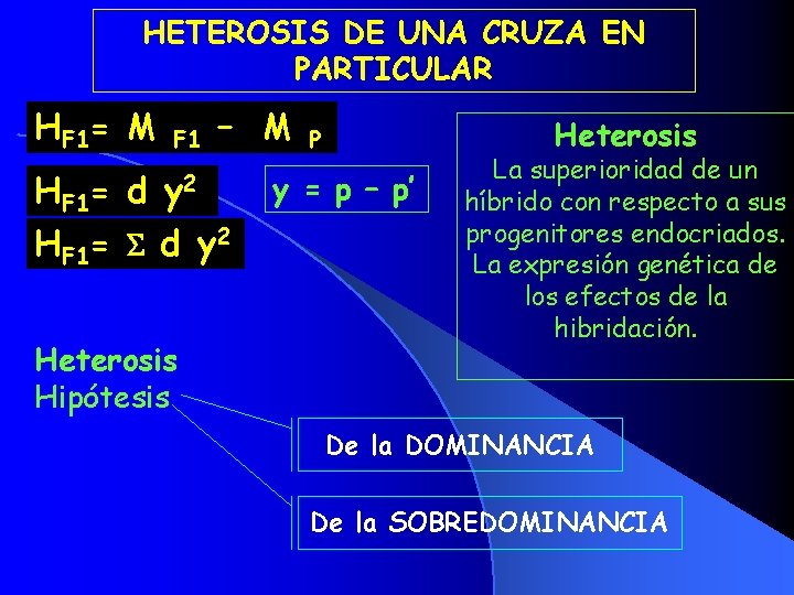 HETEROSIS DE UNA CRUZA EN PARTICULAR HF 1= M F 1 y 2 –