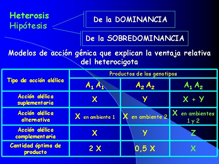 Heterosis Hipótesis De la DOMINANCIA De la SOBREDOMINANCIA Modelos de acción génica que explican