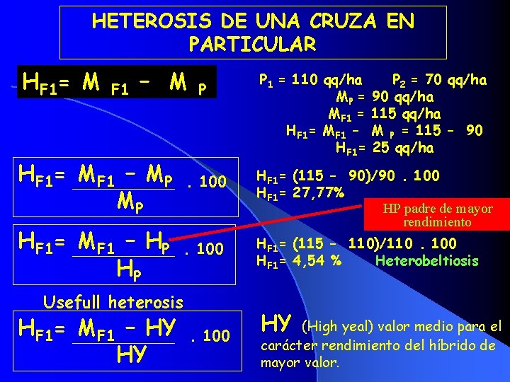 HETEROSIS DE UNA CRUZA EN PARTICULAR HF 1= M F 1 – M P