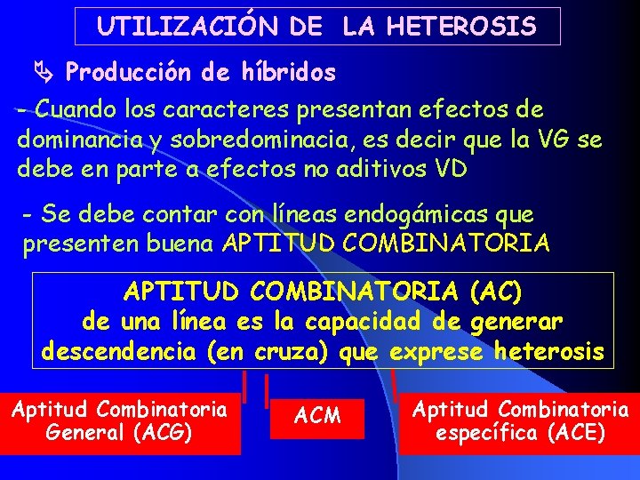 UTILIZACIÓN DE LA HETEROSIS Producción de híbridos - Cuando los caracteres presentan efectos de