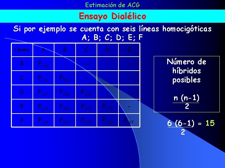 Estimación de ACG Ensayo Dialélico Si por ejemplo se cuenta con seis líneas homocigóticas