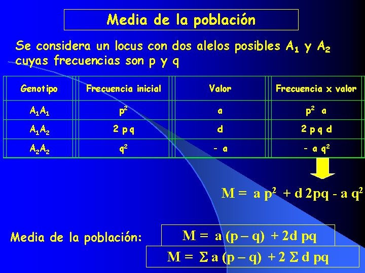 Media de la población Se considera un locus con dos alelos posibles A 1