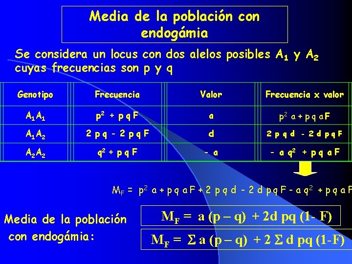 Media de la población con endogámia Se considera un locus con dos alelos posibles