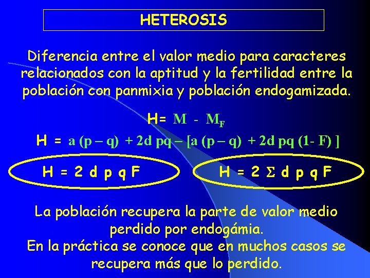 HETEROSIS Diferencia entre el valor medio para caracteres relacionados con la aptitud y la