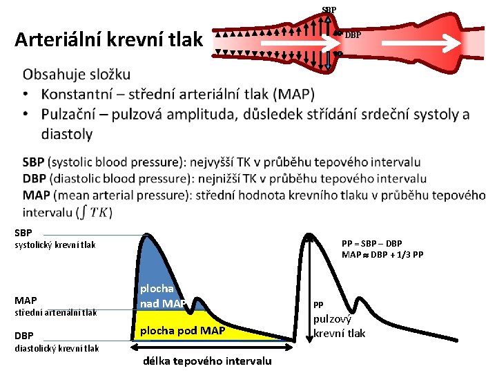 krevní tlak hodnoty při zátěži)