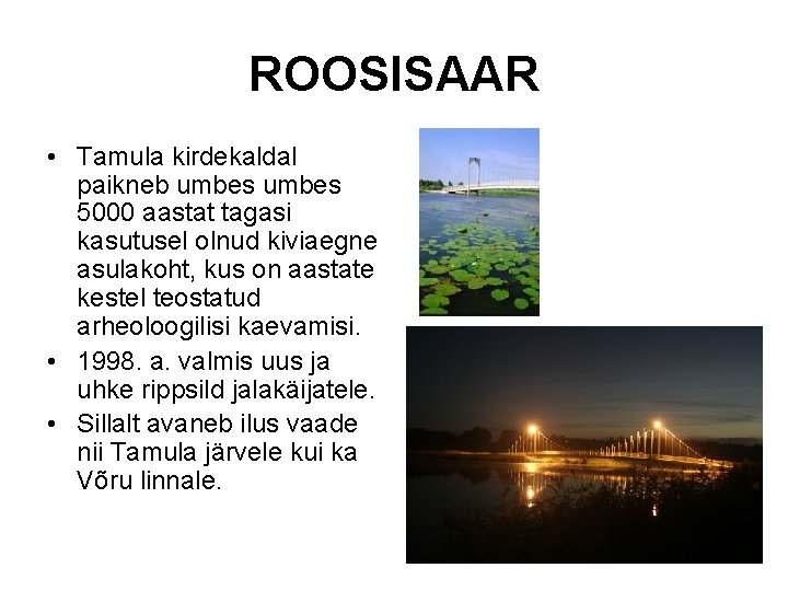 ROOSISAAR • Tamula kirdekaldal paikneb umbes 5000 aastat tagasi kasutusel olnud kiviaegne asulakoht, kus